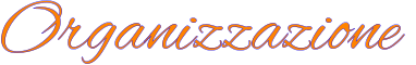 Organizzazione