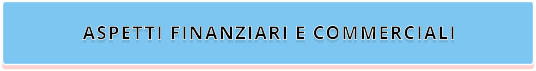 ASPETTI FINANZIARI E COMMERCIALI